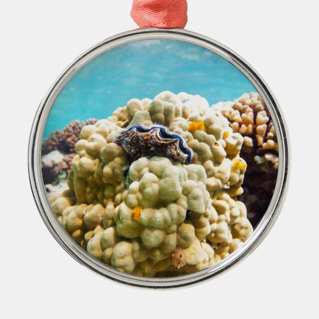 Coral reef metal tree decoration (Front)