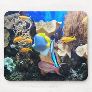 Coral Reef Mousepad