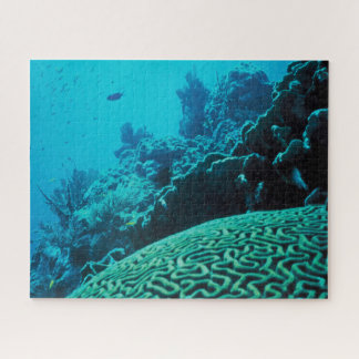 Coral Reef Oasis Jigsaw Puzzle