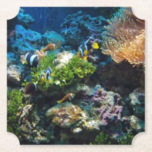 Coral Reef paper coasters
