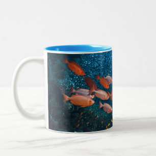 Coral Reef Scenery   Bigeye Or Goggle-Eye Two-Tone Coffee Mug