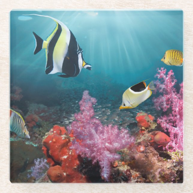 Coral Reef Scenery | Moorish Idol Glass Coaster (Front)