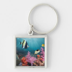 Coral Reef Scenery   Moorish Idol Key Ring
