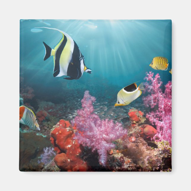 Coral Reef Scenery | Moorish Idol Magnet (Front)