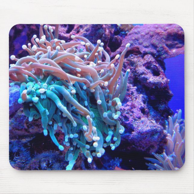 Coral reef sea anenome blue pink purple ocean  mouse mat (Front)