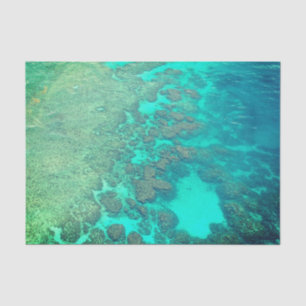 Coral reef tissue paper