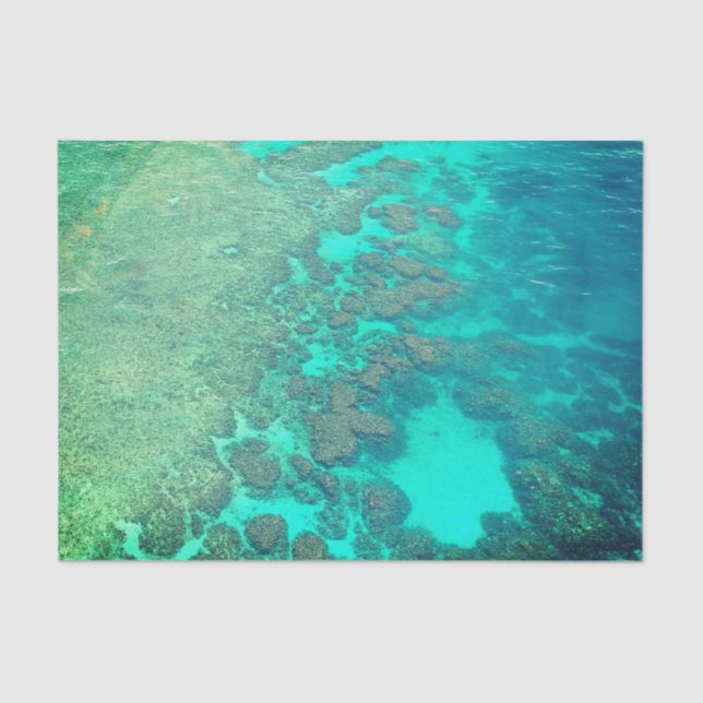 Coral reef tissue paper (Front)