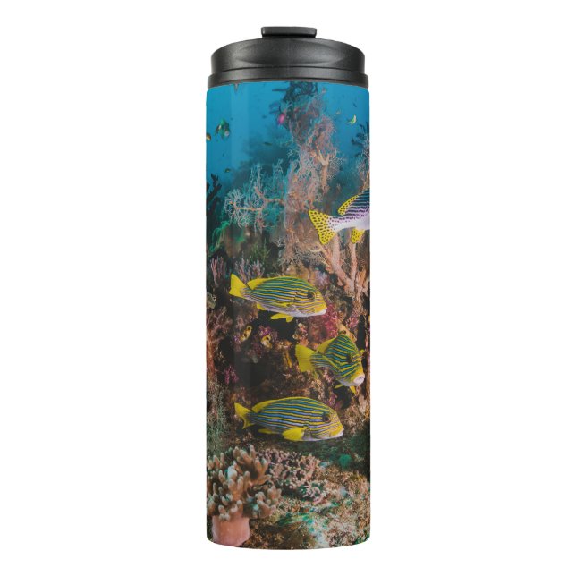Coral Reef tumbler (Front)