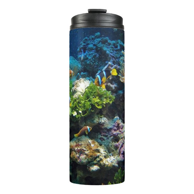 Coral Reef tumbler (Front)