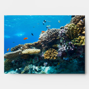 Coral reef underwater envelope