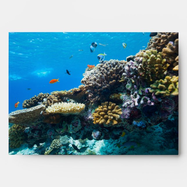 Coral reef underwater envelope (Front)
