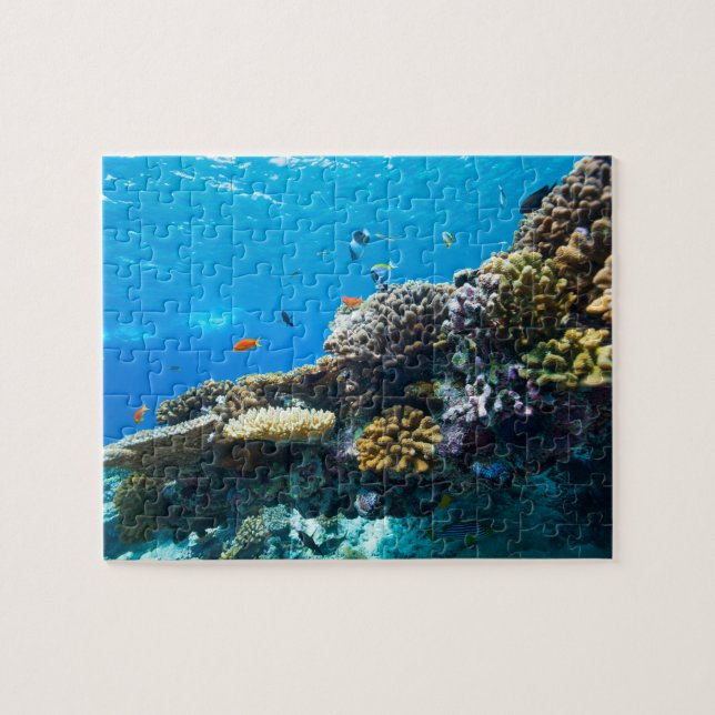 Coral reef underwater jigsaw puzzle (Horizontal)