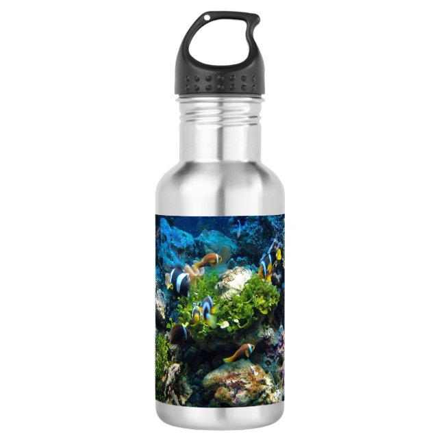 Coral Reef water bottles (Front)