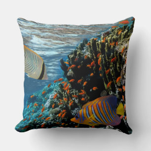 Coral Reef with Fire Coral and Exotic Fishes     Cushion