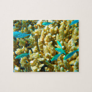 Coral Reefs of Australia Jigsaw Puzzle