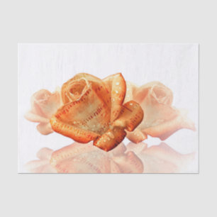 Coral Rose Blossom with Sheet Music