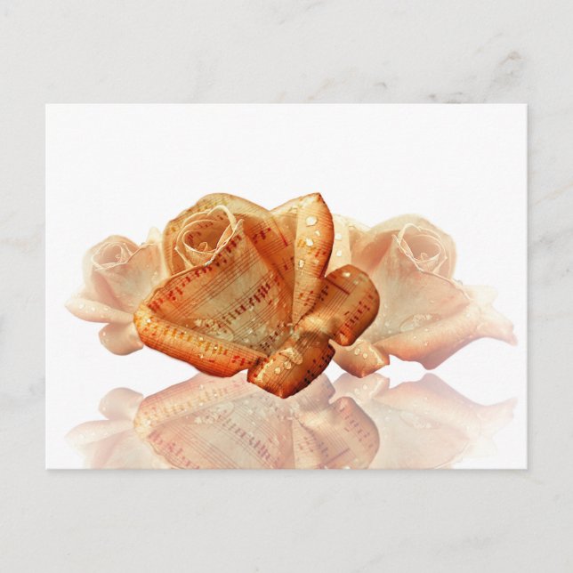Coral Rose Blossom with Sheet Music Postcard (Front)