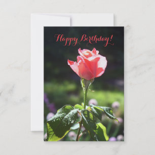 Coral Rose, Happy Birthday!, You Customise Card