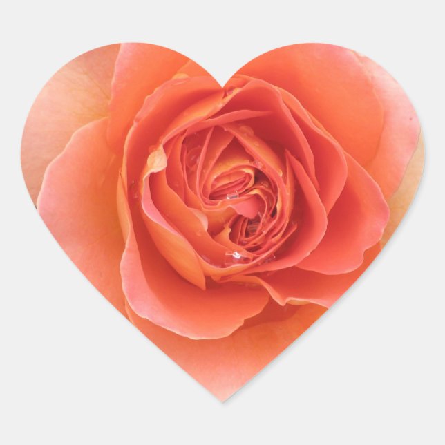 Coral Rose Heart Sticker (Front)