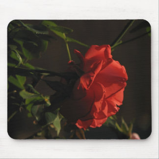 Coral Rose Mousepad