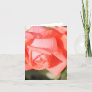 Coral Rose Notecards