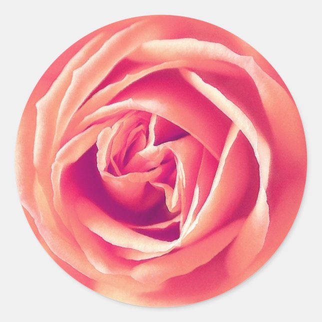 Coral rose print classic round sticker (Front)
