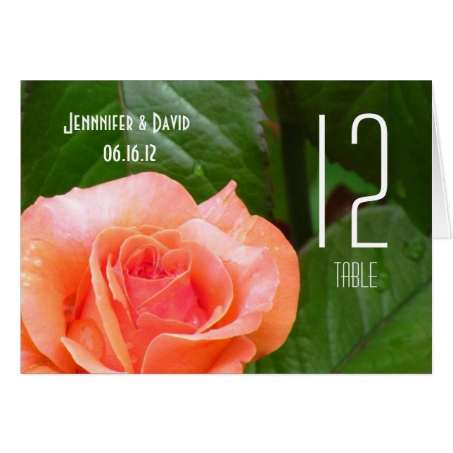 Coral Rose Wedding Table Card (Front Horizontal)