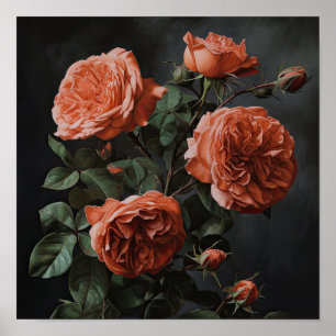 Coral Roses Flower Art Print Poster