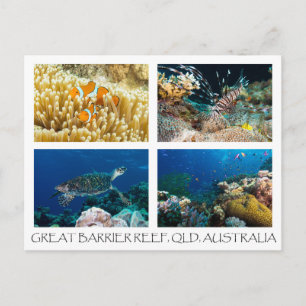 Coral Sea Postcard