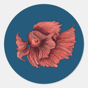 Coral Siamese fighting fish Classic Round Sticker