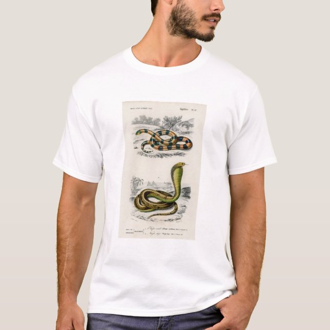 Coral Snake Egyptian Cobra Illustration T-Shirt (Front)