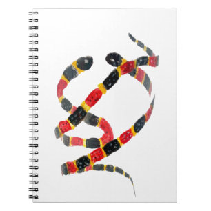 Coral Snakes Animal Art Notebook