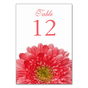 Coral White Gerbera Daisy Wedding Table Number