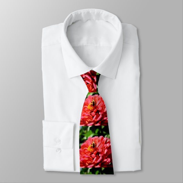 Coral zinnia with bumblebee tie (Tied)