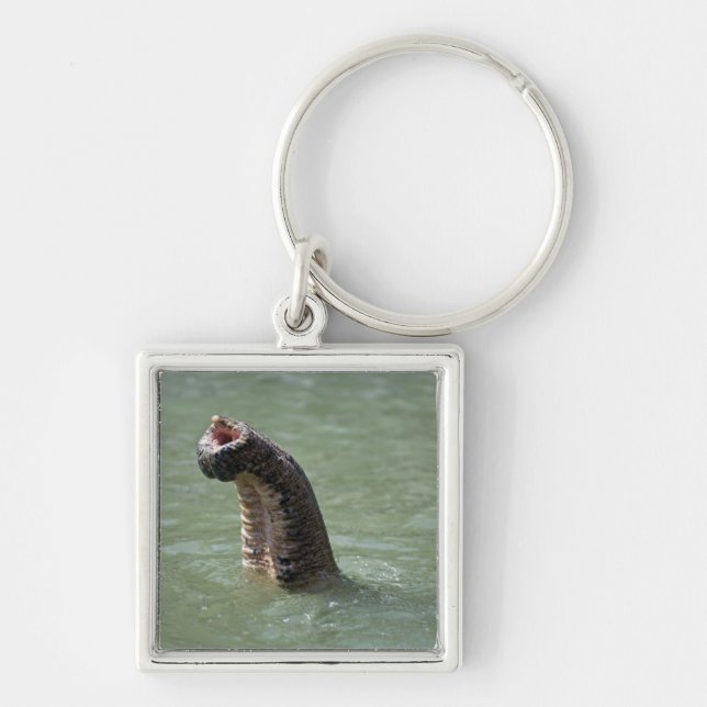 Corbett National Park, Uttaranchal, India Key Ring (Front)