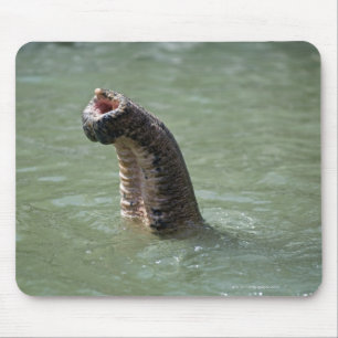 Corbett National Park, Uttaranchal, India Mouse Mat