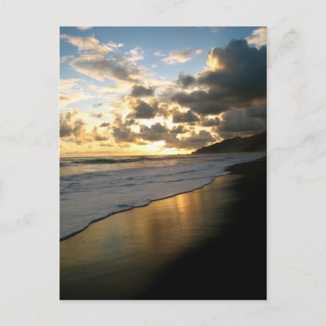 Corcovado National Park Beach Postcard (Front)