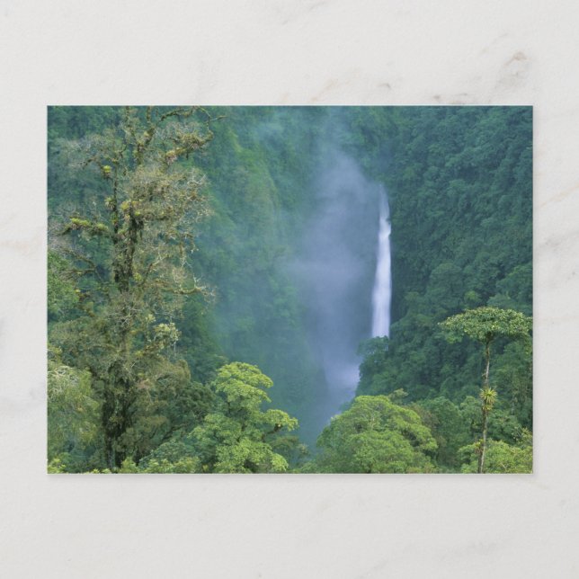 Cordillera Central, Angel Congo) Falls, many Postcard (Front)