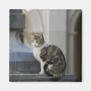 cordoba, argentina magnet