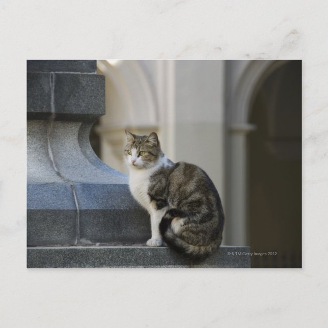 cordoba, argentina postcard (Front)