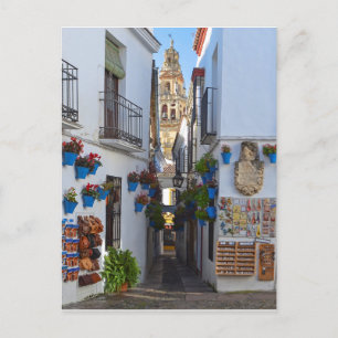 Cordoba Flower Street Postcard