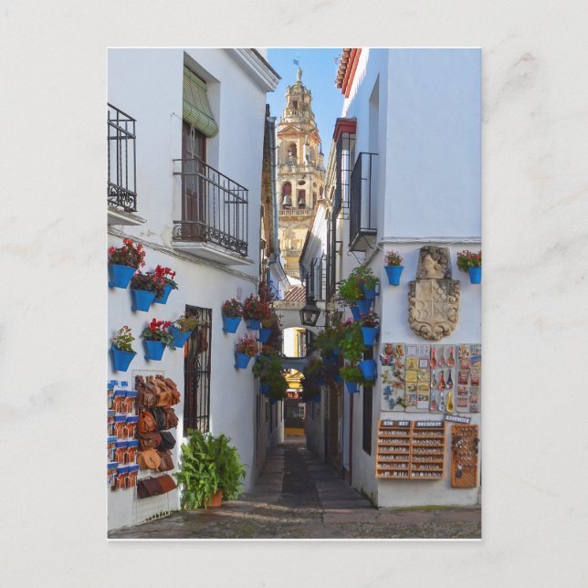 Cordoba Flower Street Postcard (Front)