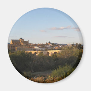 Cordoba from Afar Magnet