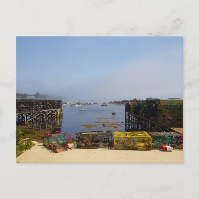 Corea, Maine Postcard (Front)