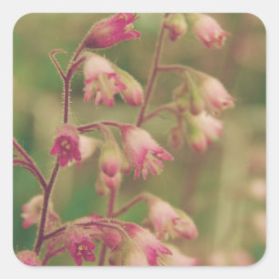 Corelbells, Spring Flowers Square Sticker