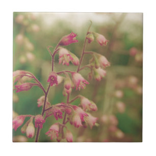 Corelbells, Spring Flowers Tile