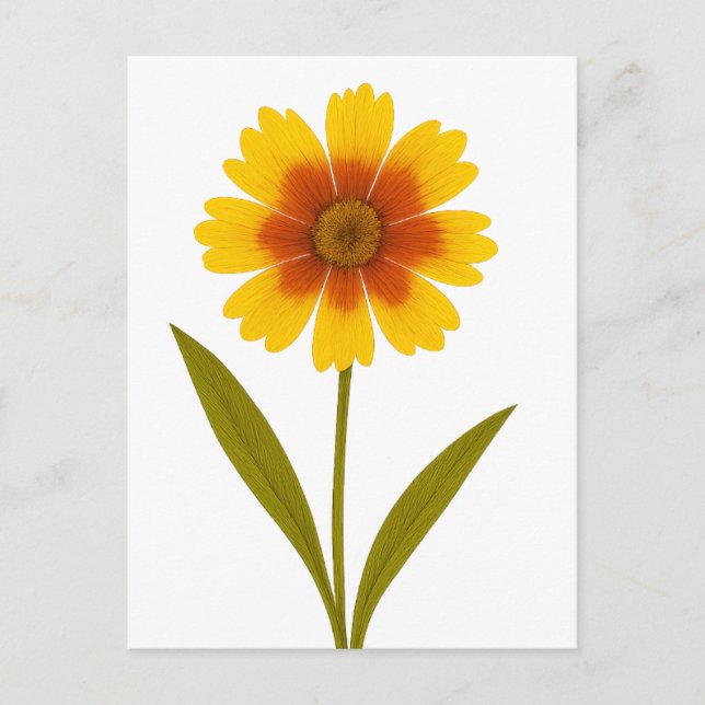 Coreopsis — Cheerfulness Postcard (Front)
