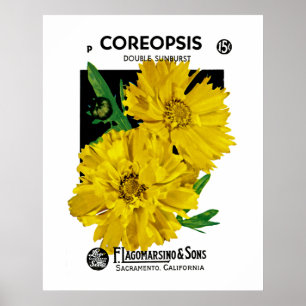 Coreopsis Poster