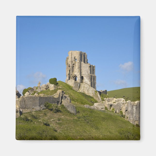 Corfe Castle, Corfe, Dorset, England Magnet (Front)