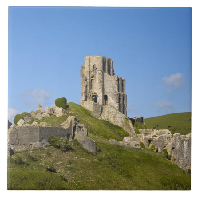 Corfe Castle, Corfe, Dorset, England Tile (Front)